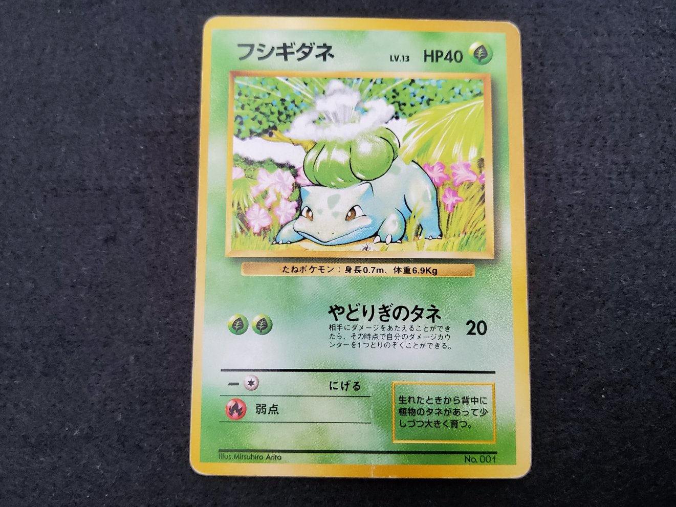 Bulbizarre : Bulbasaur (EXP) No Rarity Light Played 00001