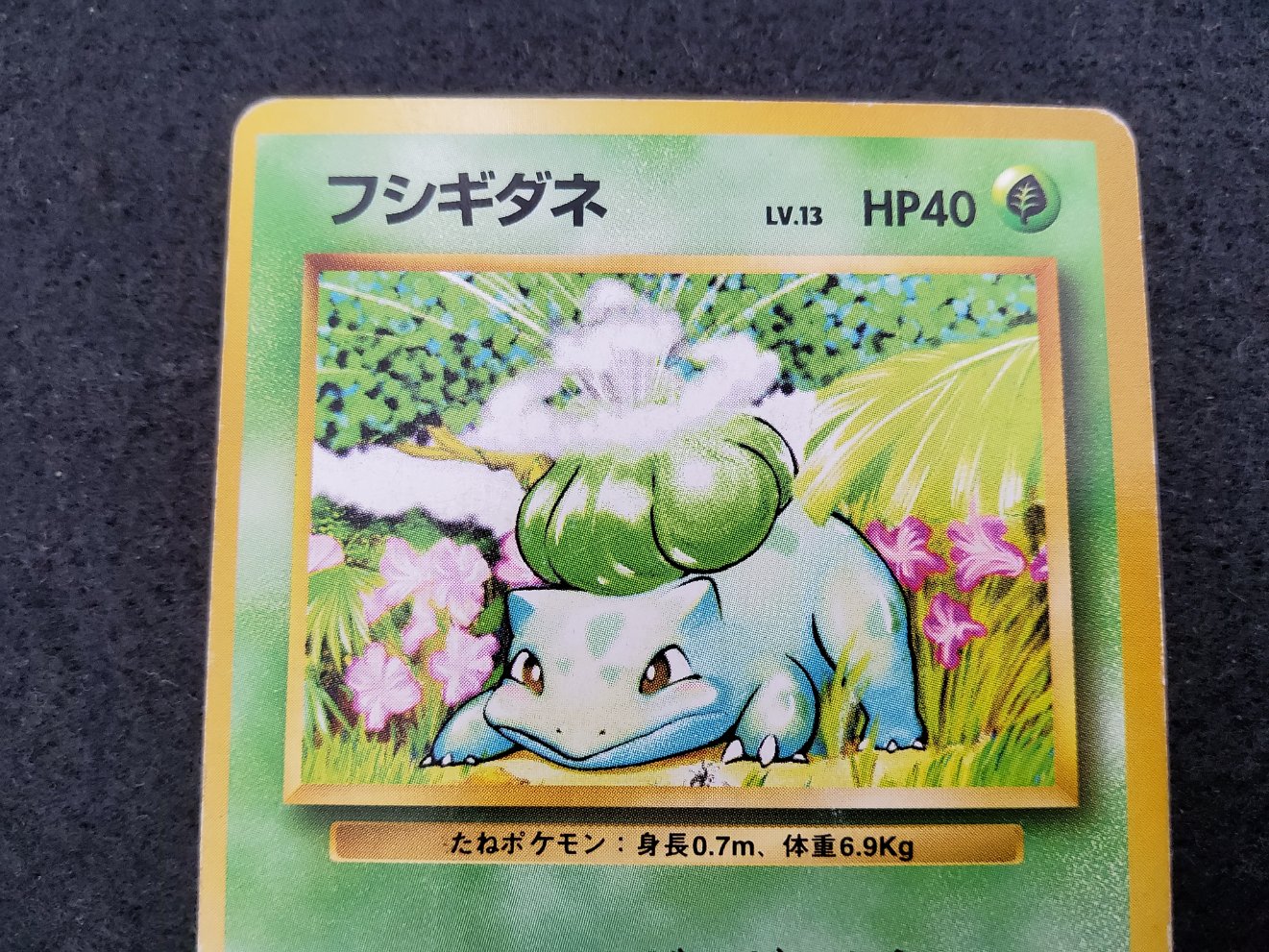 Bulbizarre : Bulbasaur (EXP) No Rarity Light Played 00002
