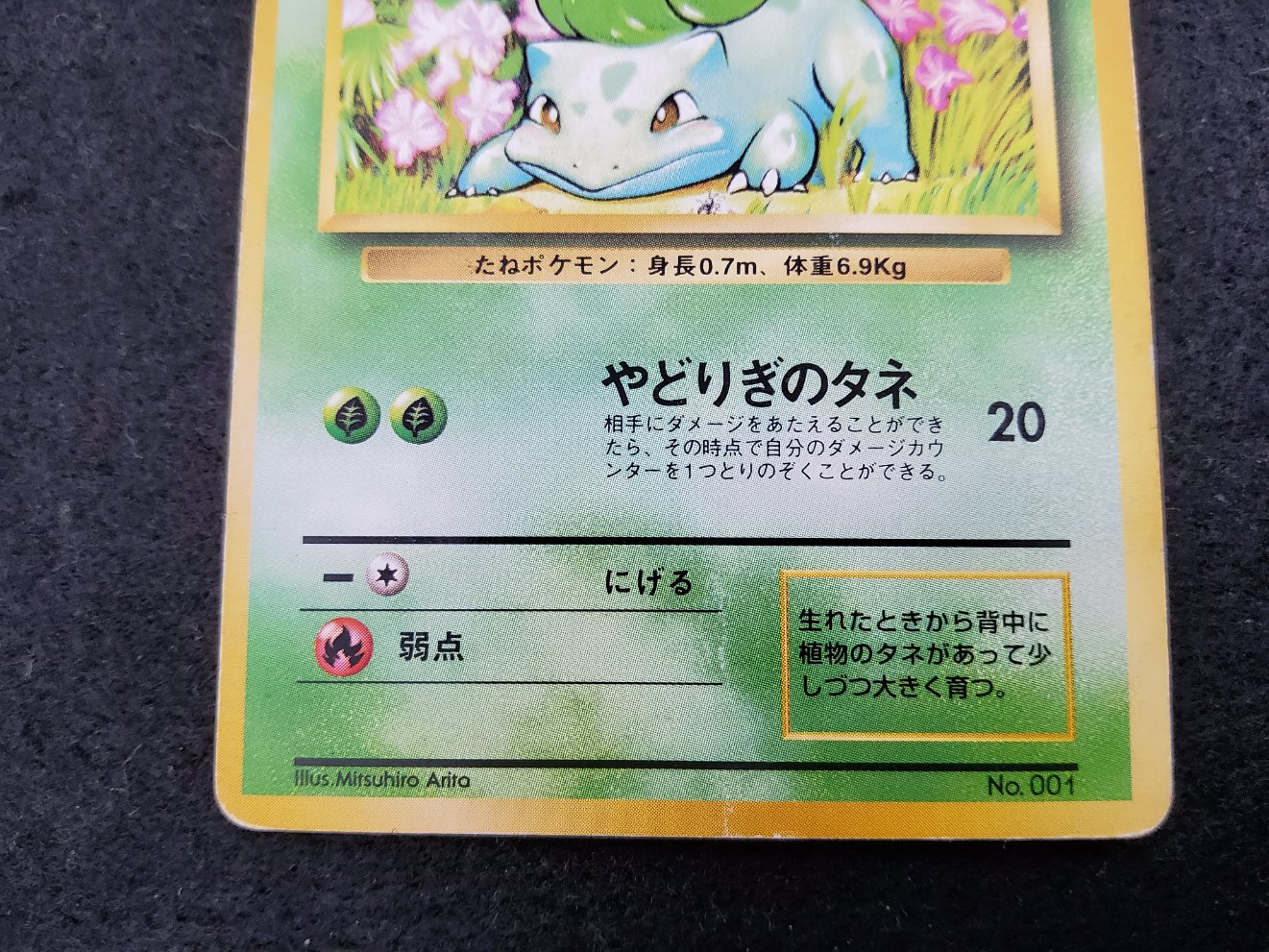 Bulbizarre : Bulbasaur (EXP) No Rarity Light Played 00003