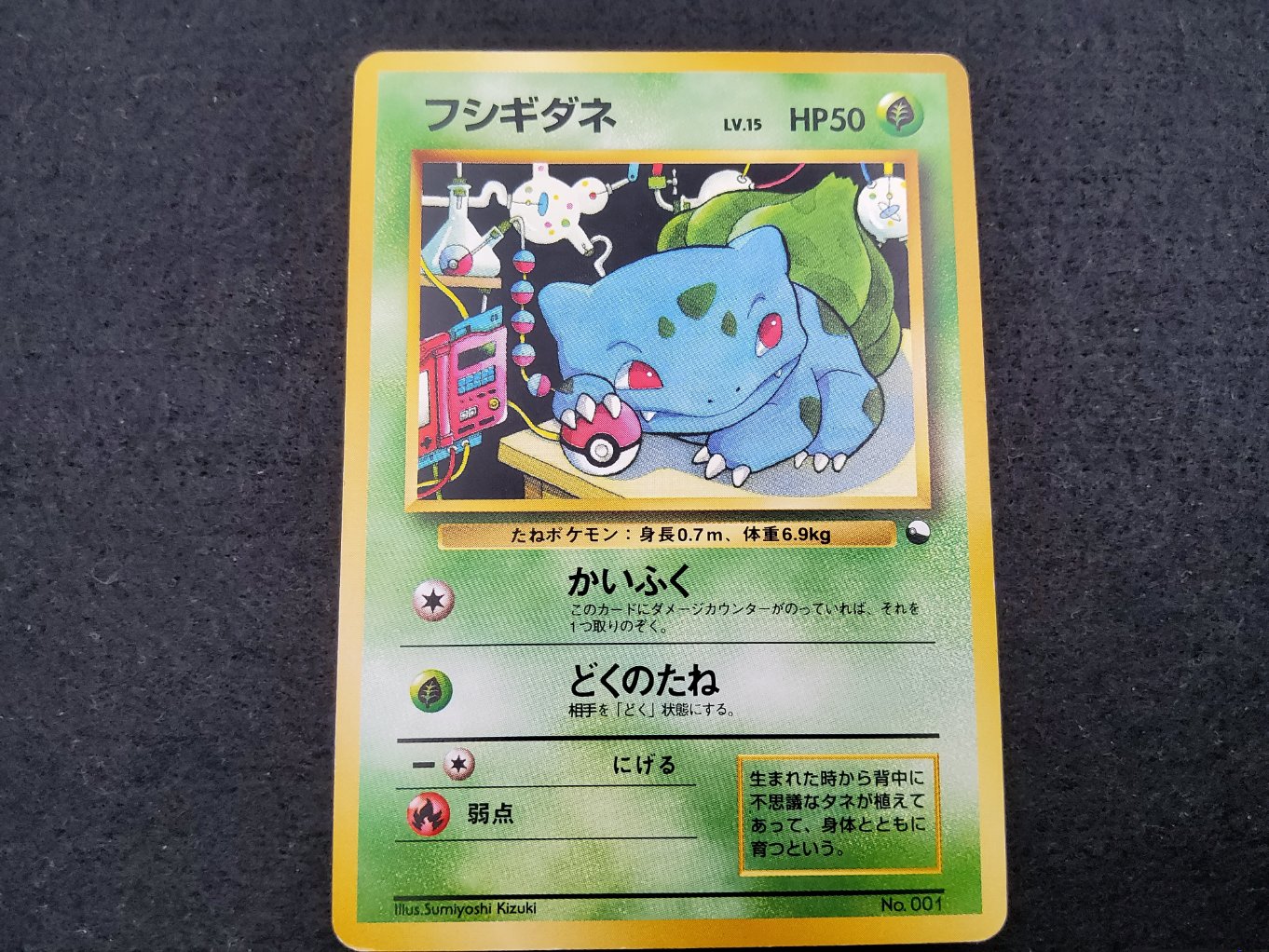 Bulbizarre : Bulbasaur Quick Starter Gift Excellent 00001