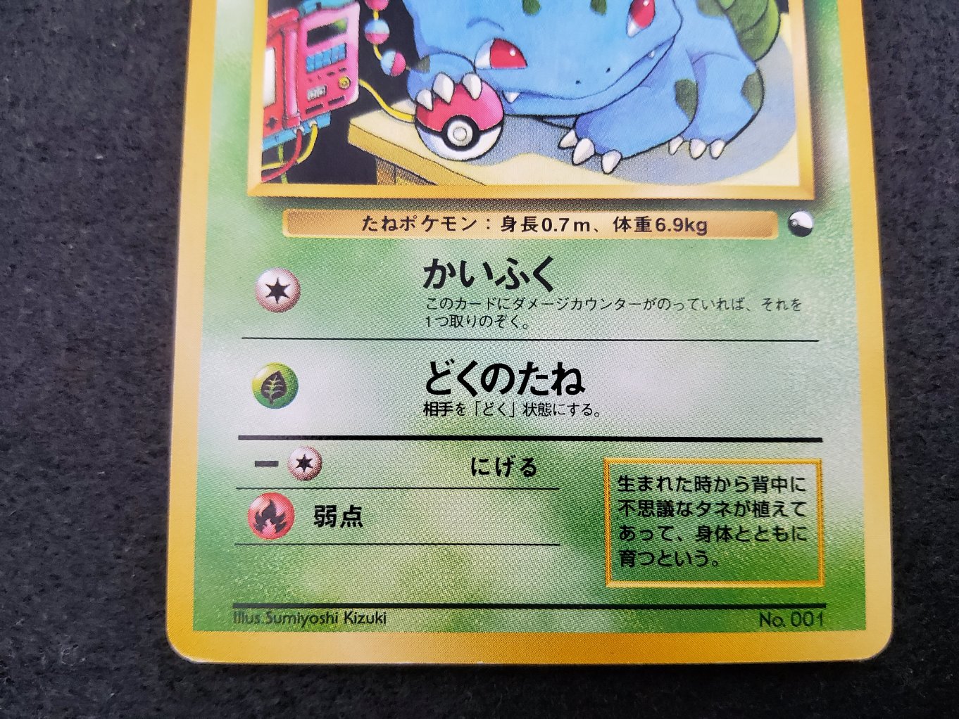 Bulbizarre : Bulbasaur Quick Starter Gift Excellent 00003