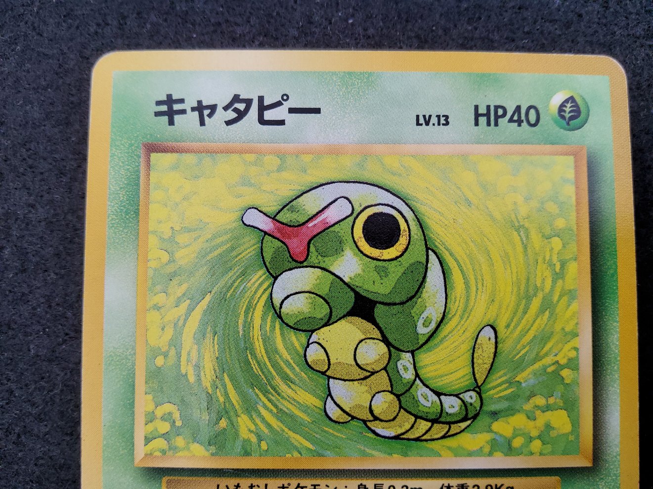 Chenipan : Caterpie (EXP) No Rarity Good 00002
