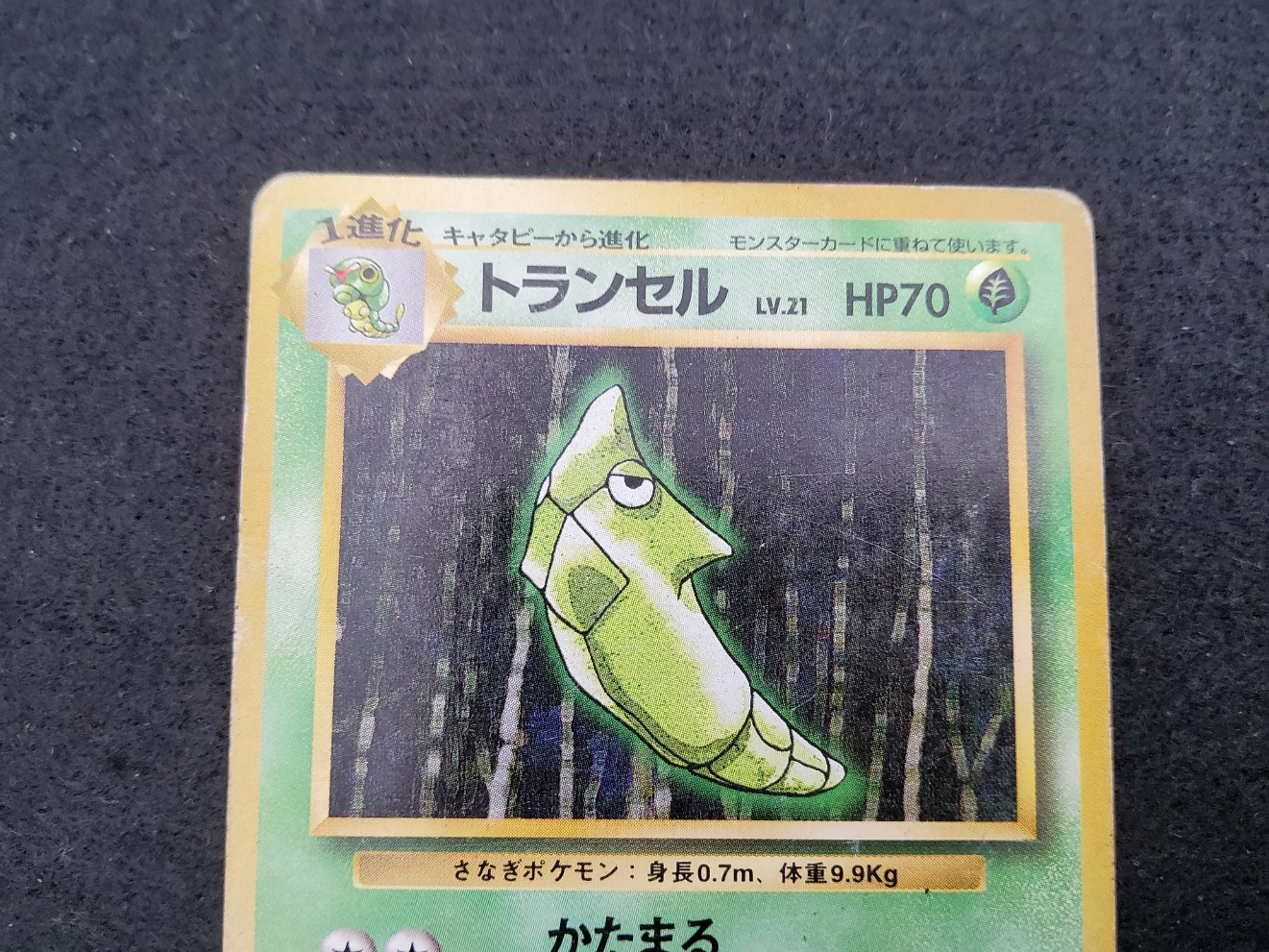 Chrysacier : Metapod (EXP) No Rarity Played 00002
