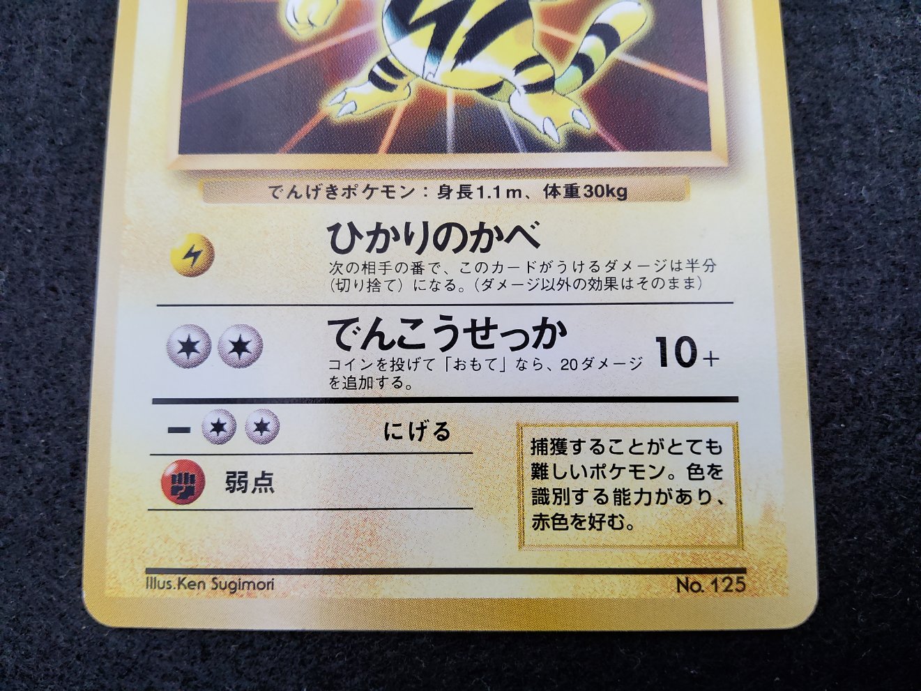 Elektek : Electabuzz Official Card File 1997 Near Mint 00003