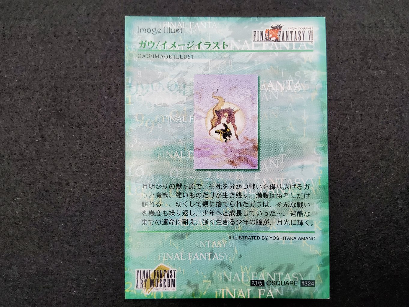 Final Fantasy Art Museum 324 - Gau 00002