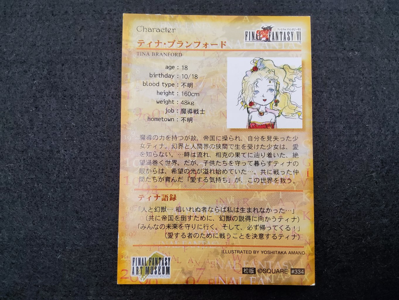 Final Fantasy Art Museum 334 - Tina Branford (Terra) B00002