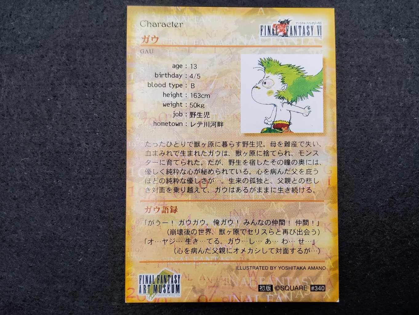 Final Fantasy Art Museum 340 - Gau 00002