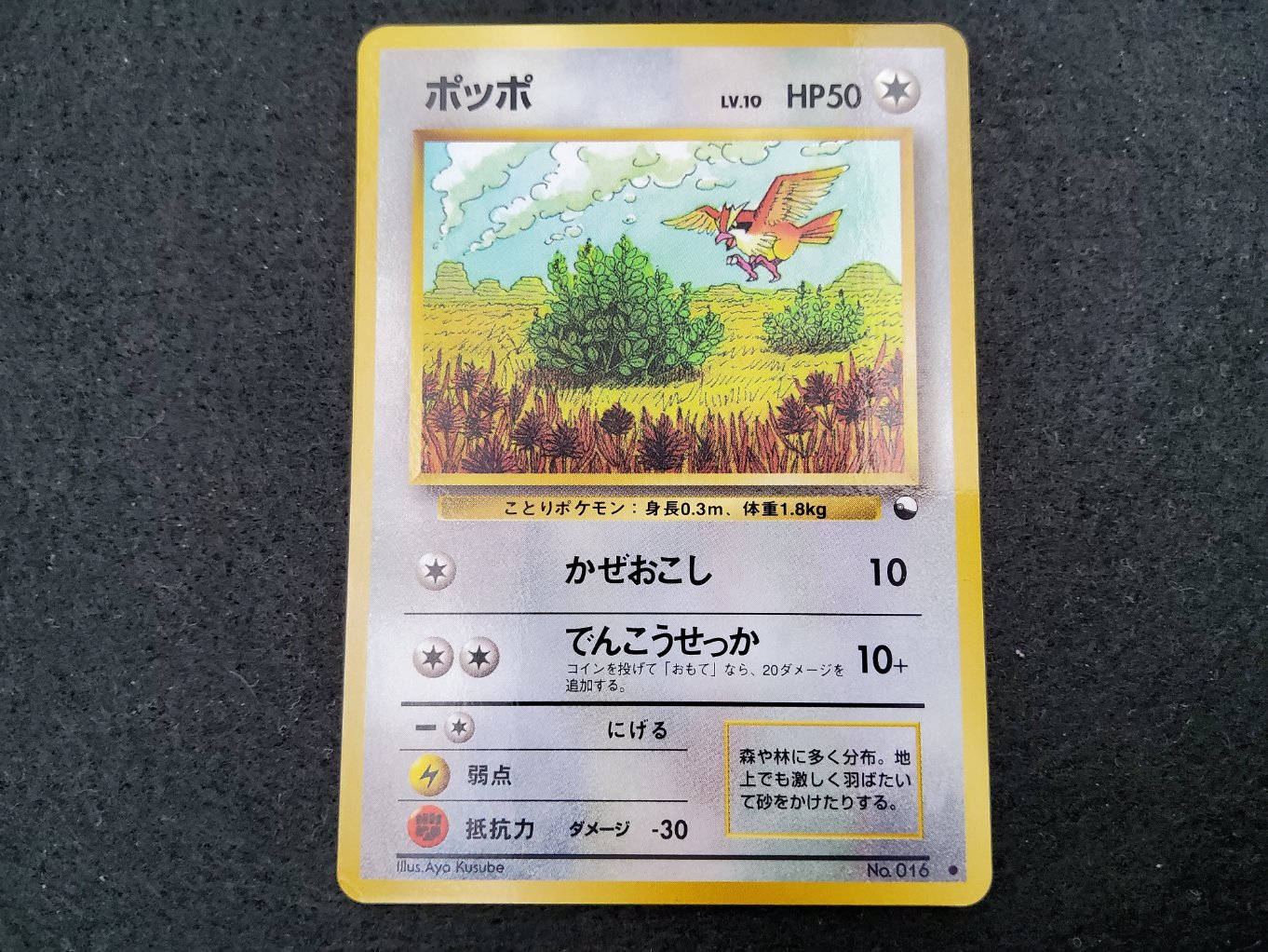 Roucool / Pidgey (EXS) Good 00001