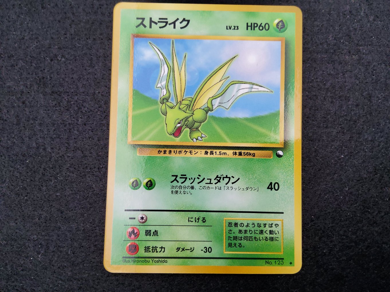 Insecateur : Scyther (EXS) Near Mint 00001