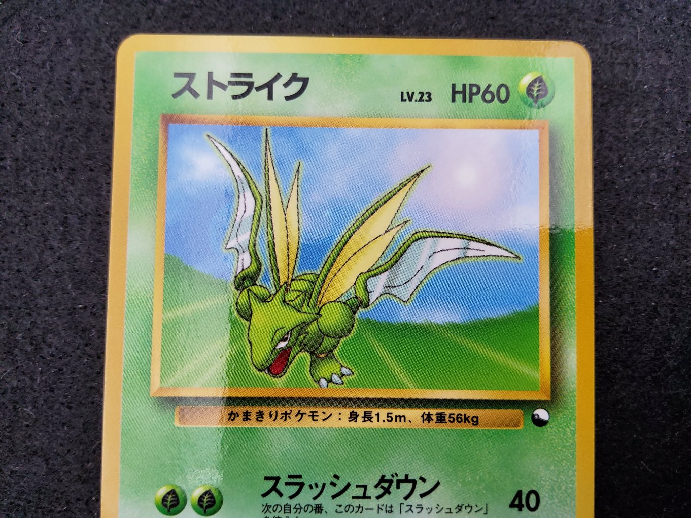 Insecateur : Scyther (EXS) Near Mint 00002
