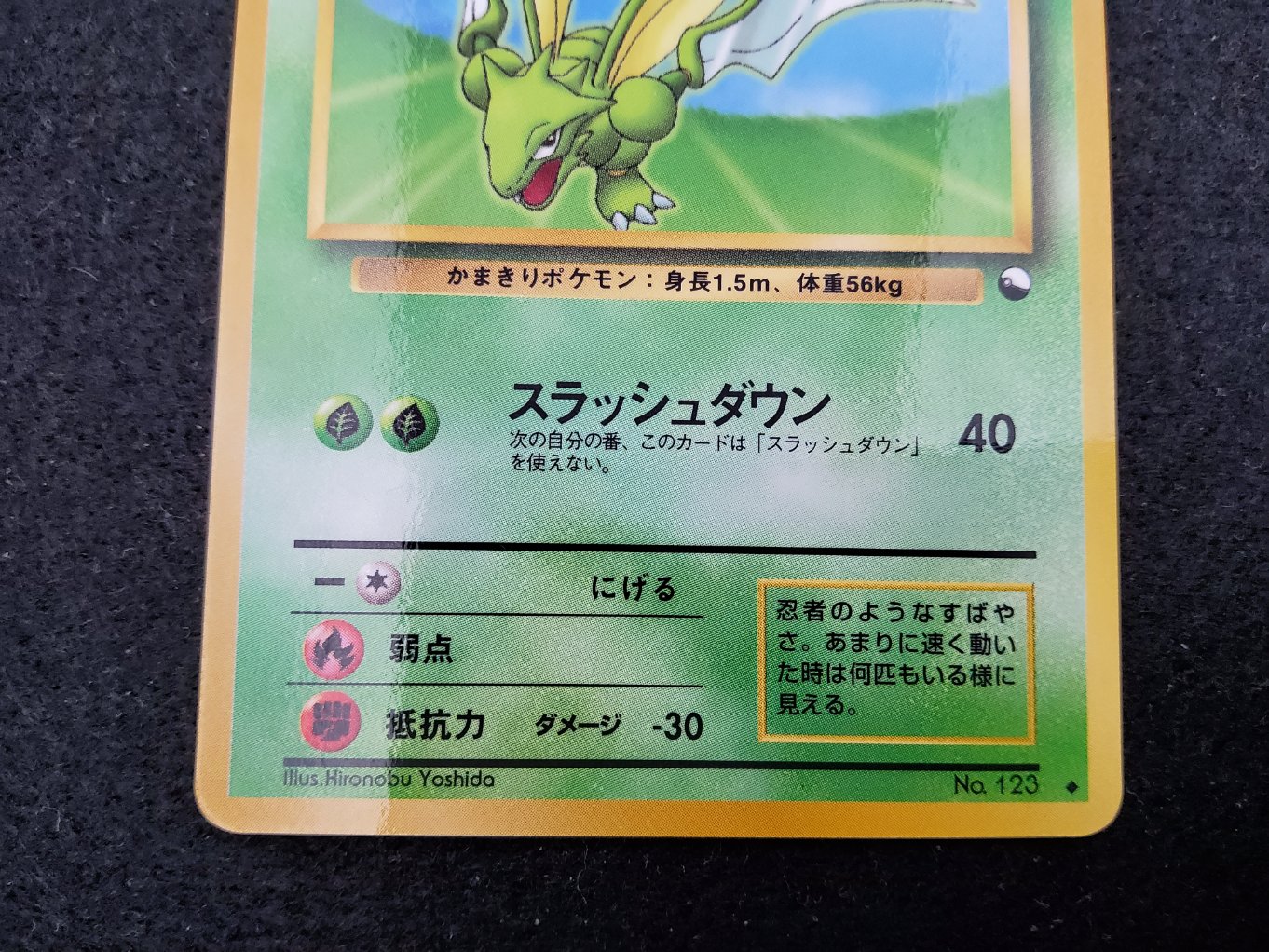 Insecateur : Scyther (EXS) Near Mint 00003
