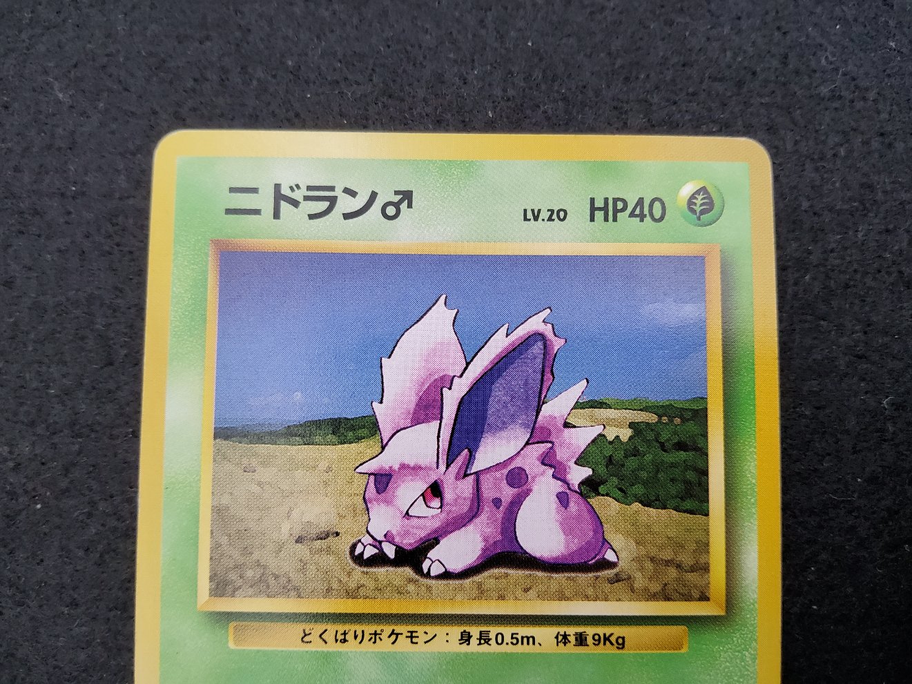 Nidoran (EXP) No Rarity Excellent + 00002