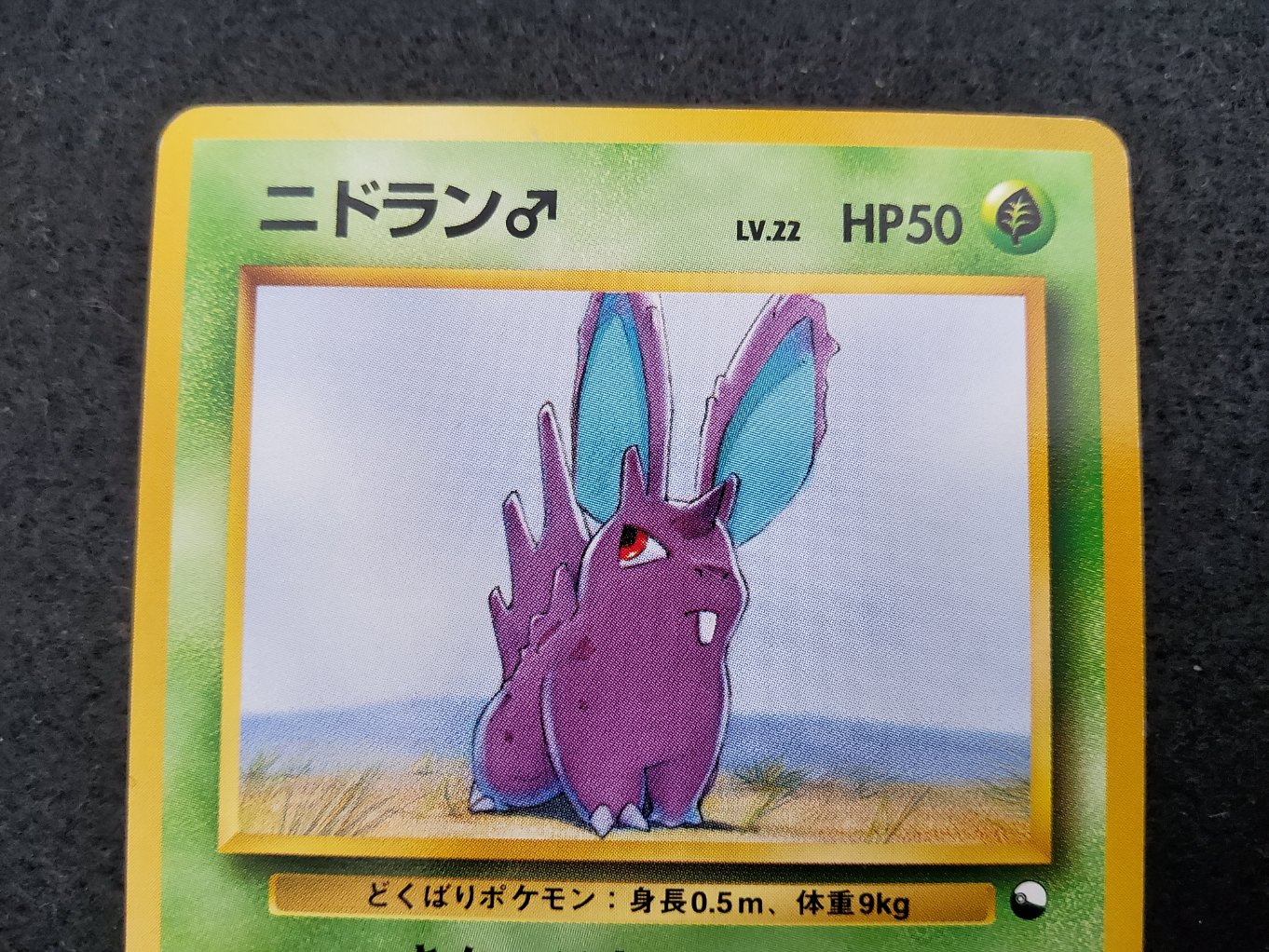 Nidoran Male Quick Starter Gift Excellent + 00002