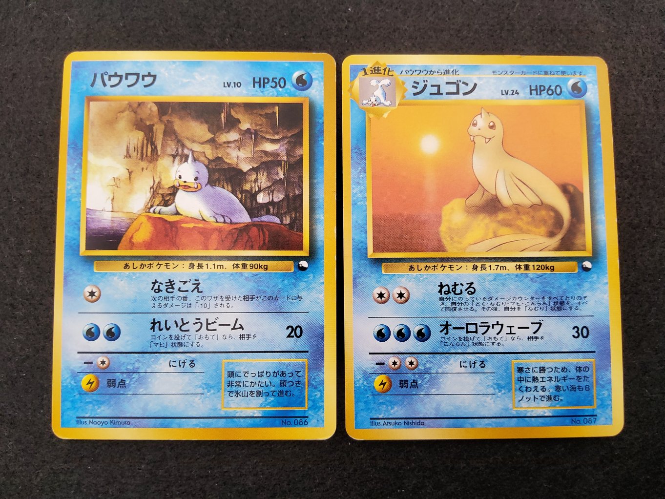 Otaria & Lamantine : Seel & Dewgong Quick Starter Gift Good 00001