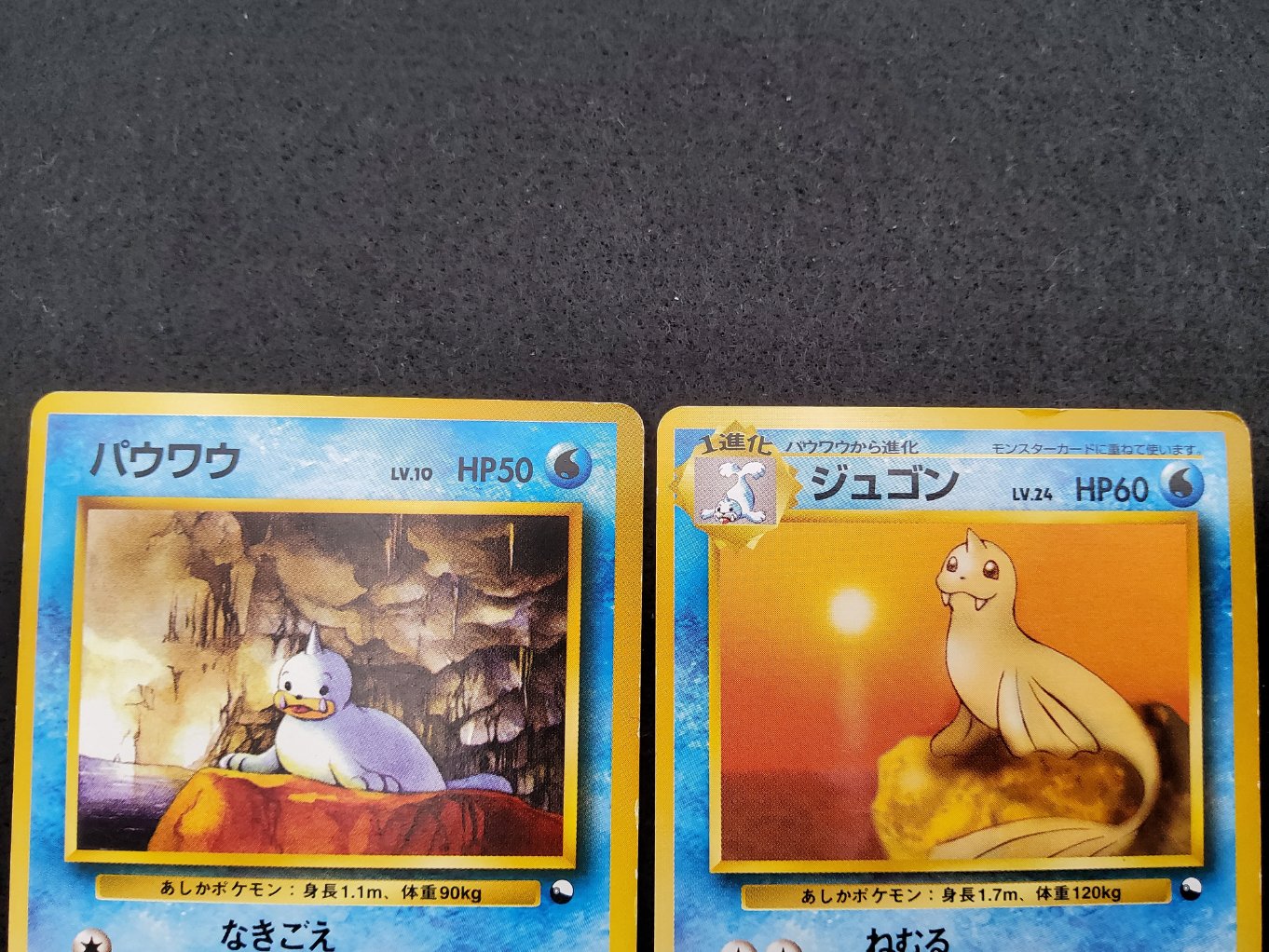 Otaria & Lamantine : Seel & Dewgong Quick Starter Gift Good 00002