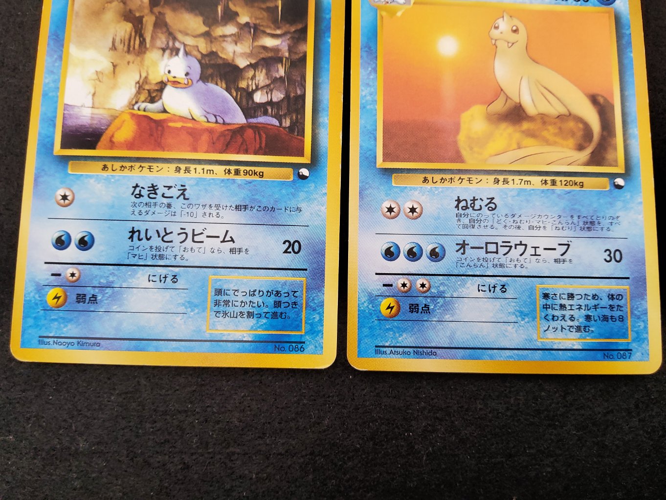 Otaria & Lamantine : Seel & Dewgong Quick Starter Gift Good 00003