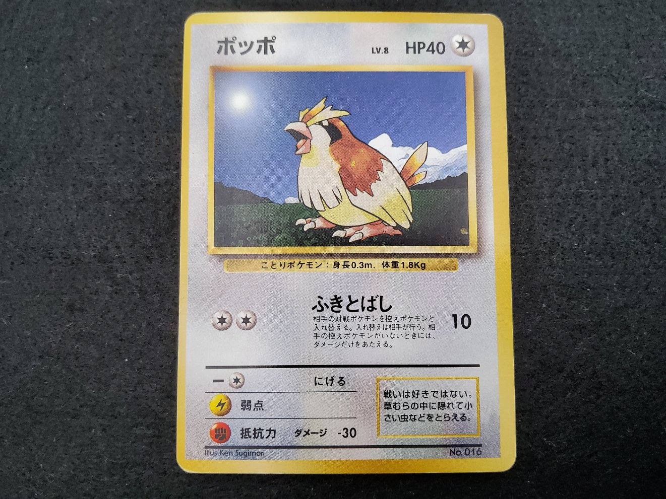 Roucool : Pidgey (EXP) No Rarity Good 00001