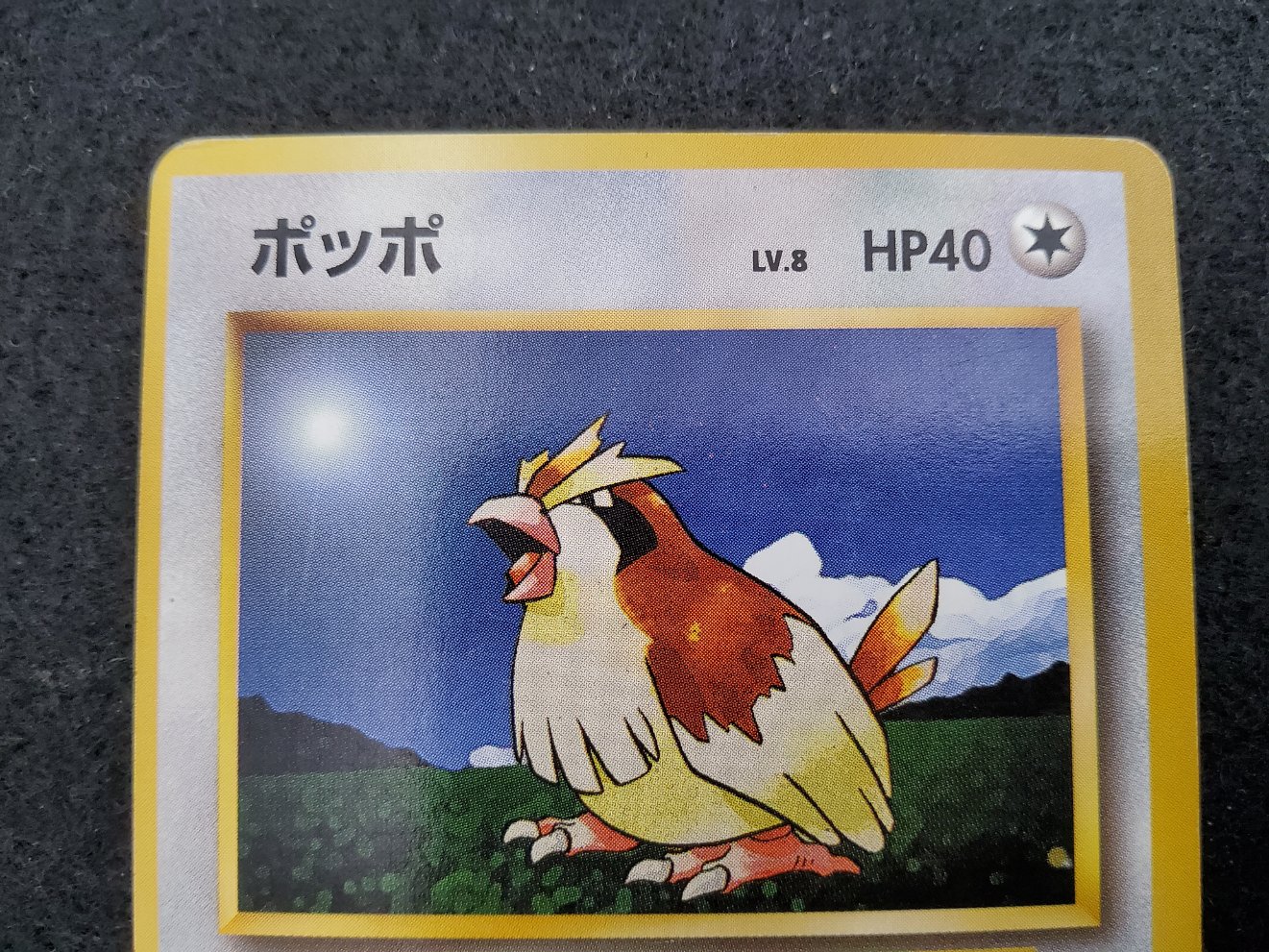 Roucool : Pidgey (EXP) No Rarity Good 00002