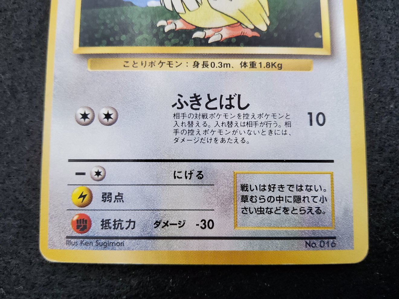 Roucool : Pidgey (EXP) No Rarity Good 00003