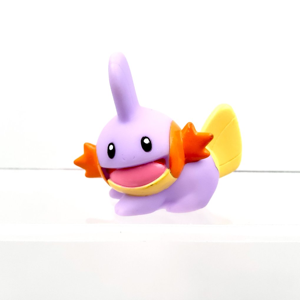 Pokemon Kids - Gobou : Mudkip Shiny B00001