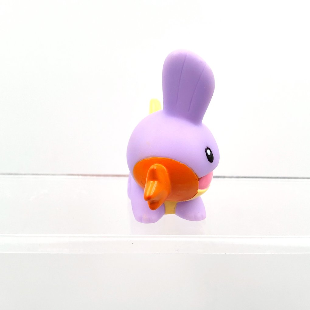 Pokemon Kids - Gobou : Mudkip Shiny B00002