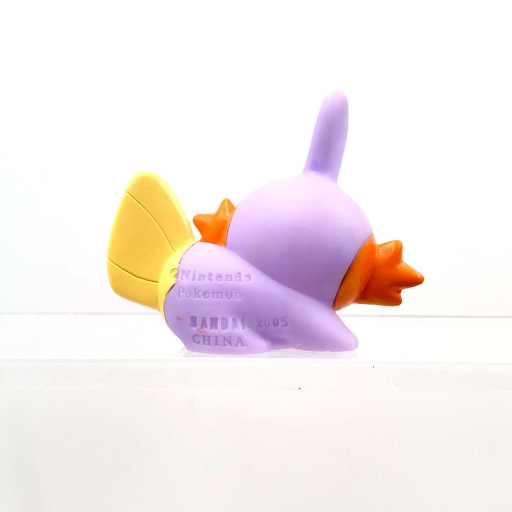 Pokemon Kids - Gobou : Mudkip Shiny B00003