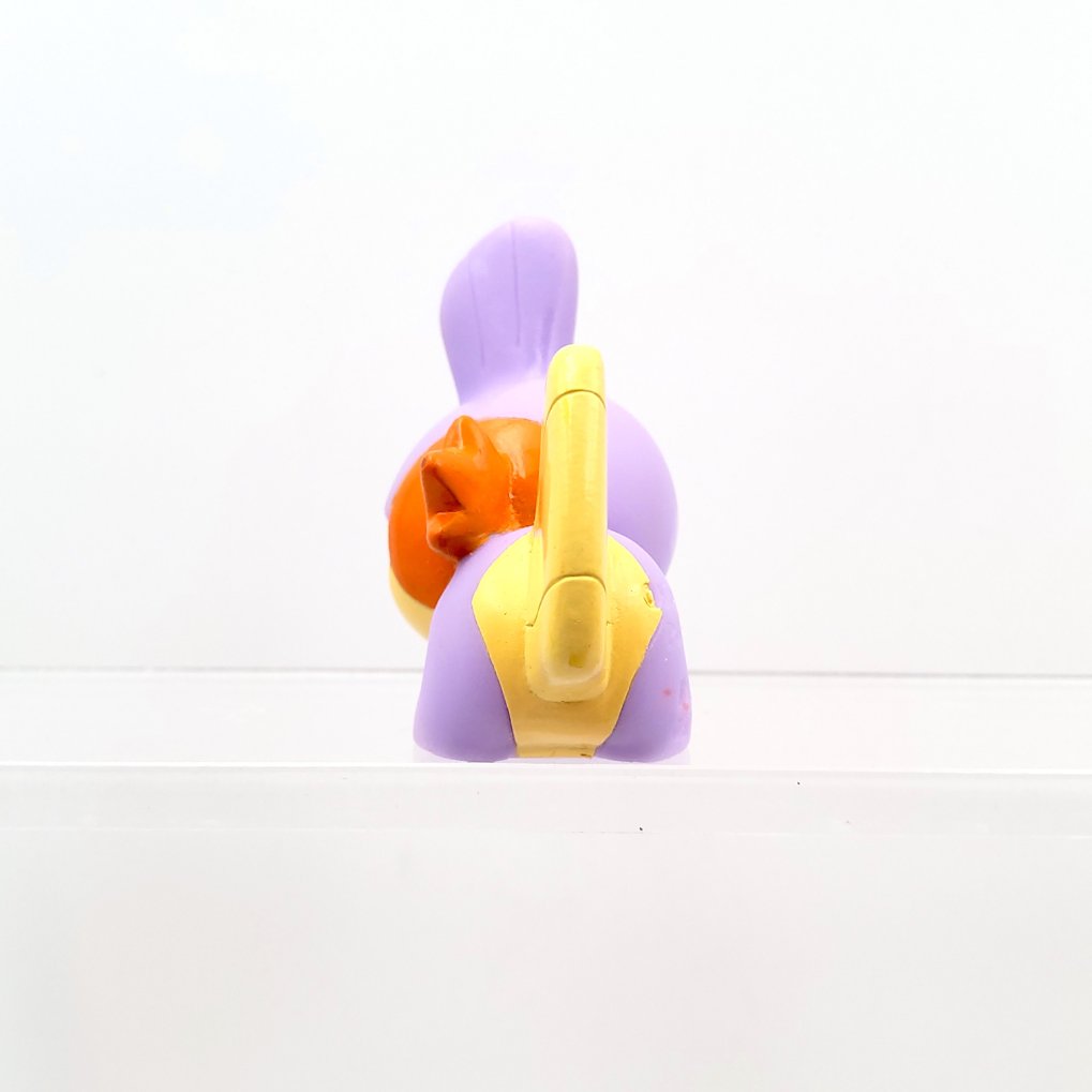 Pokemon Kids - Gobou : Mudkip Shiny B00004