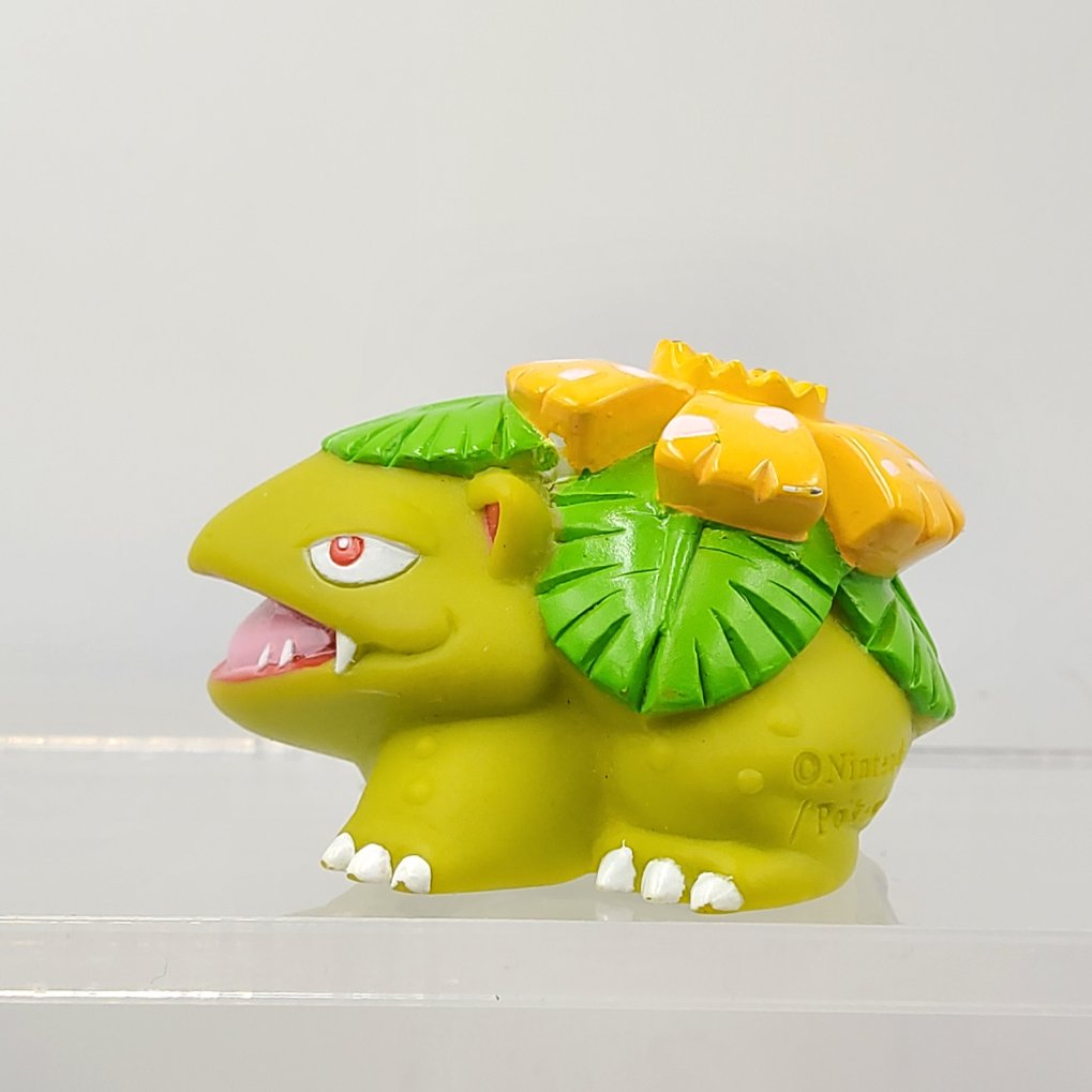 Pokemon Kids - Florizarre : Venusaur Shiny S00002