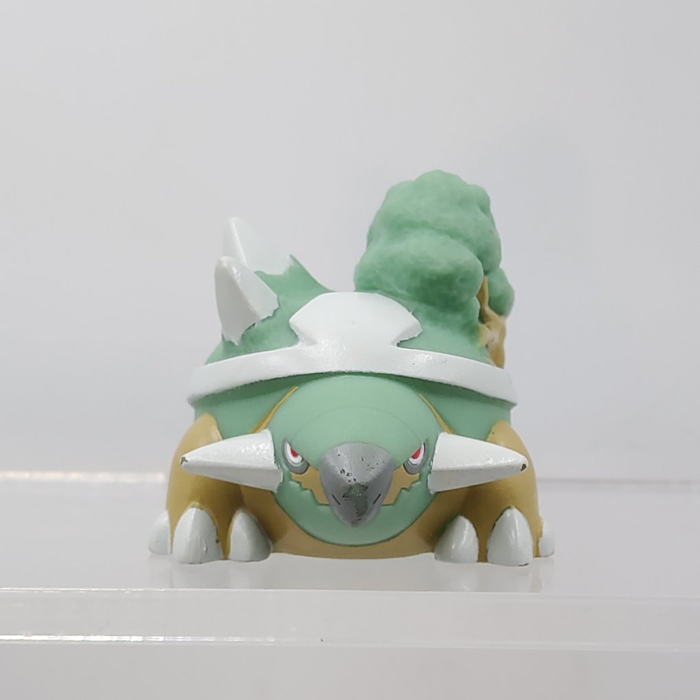 Pokemon Kids - Tortipouss ( Turtwig ) & Torterra Shiny B00005
