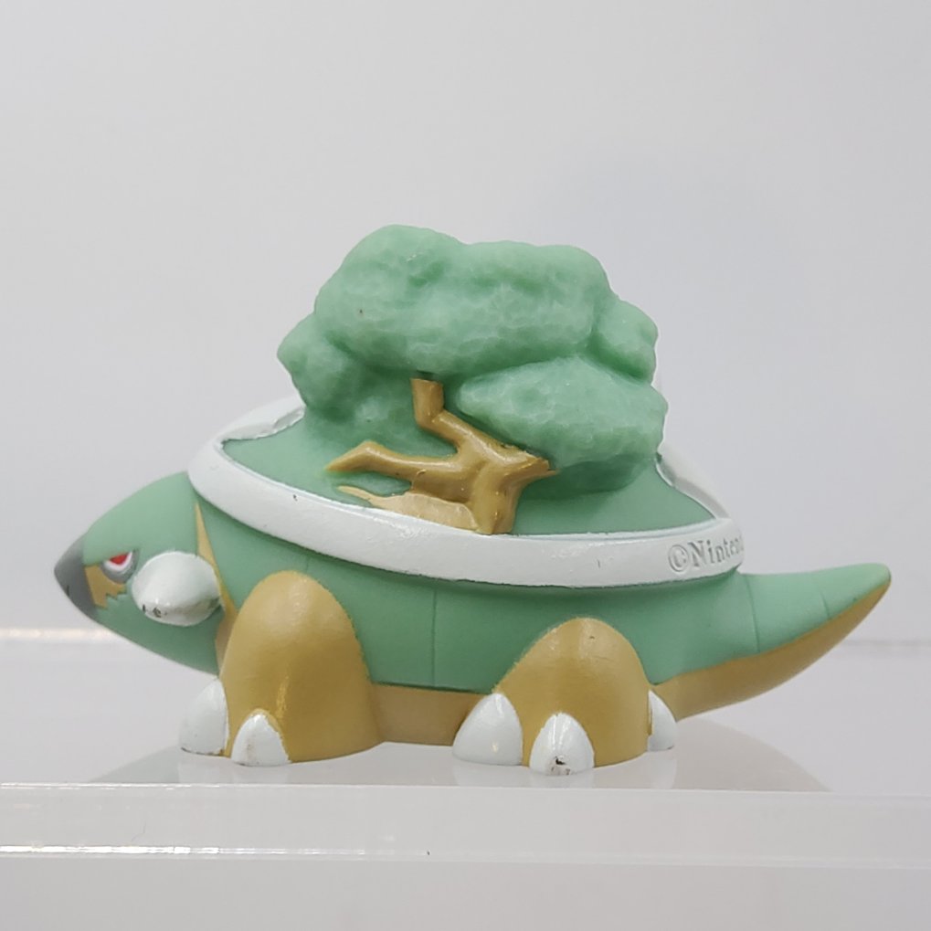 Pokemon Kids - Tortipouss ( Turtwig ) & Torterra Shiny B00006