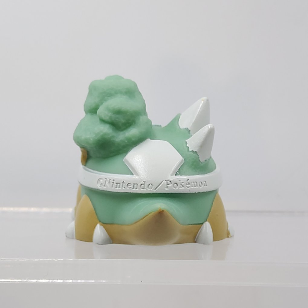 Pokemon Kids - Tortipouss ( Turtwig ) & Torterra Shiny B00007