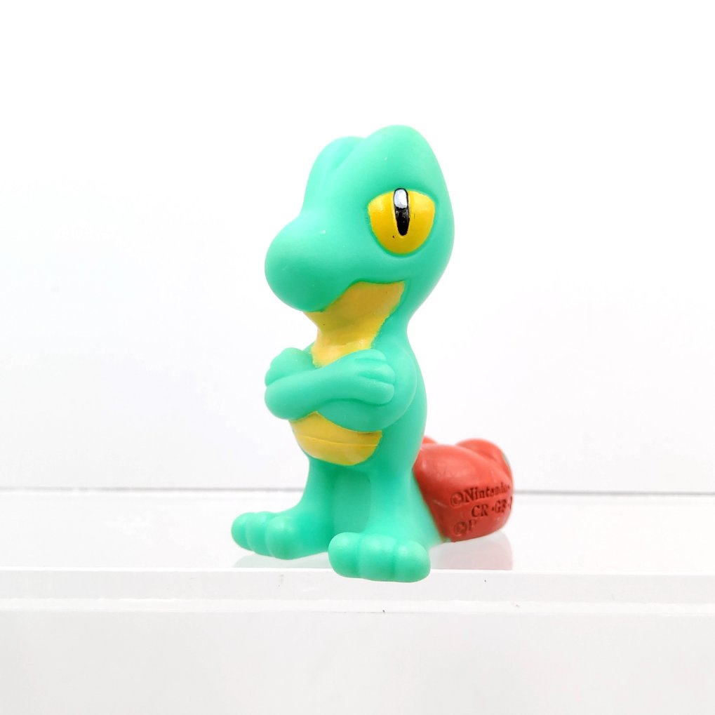 Pokemon Kids - Arcko : Treecko Shiny S00001
