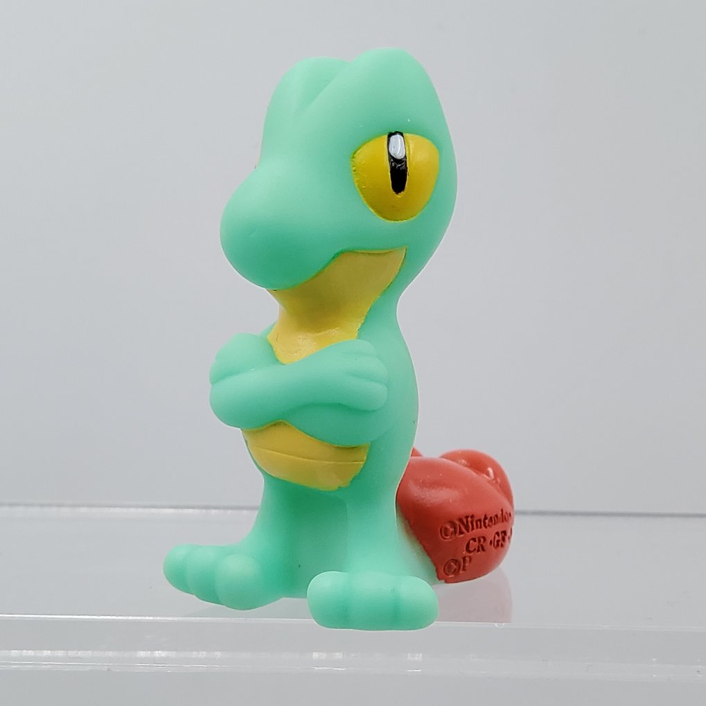 Pokemon Kids - Arcko : Treecko Shiny TB00001