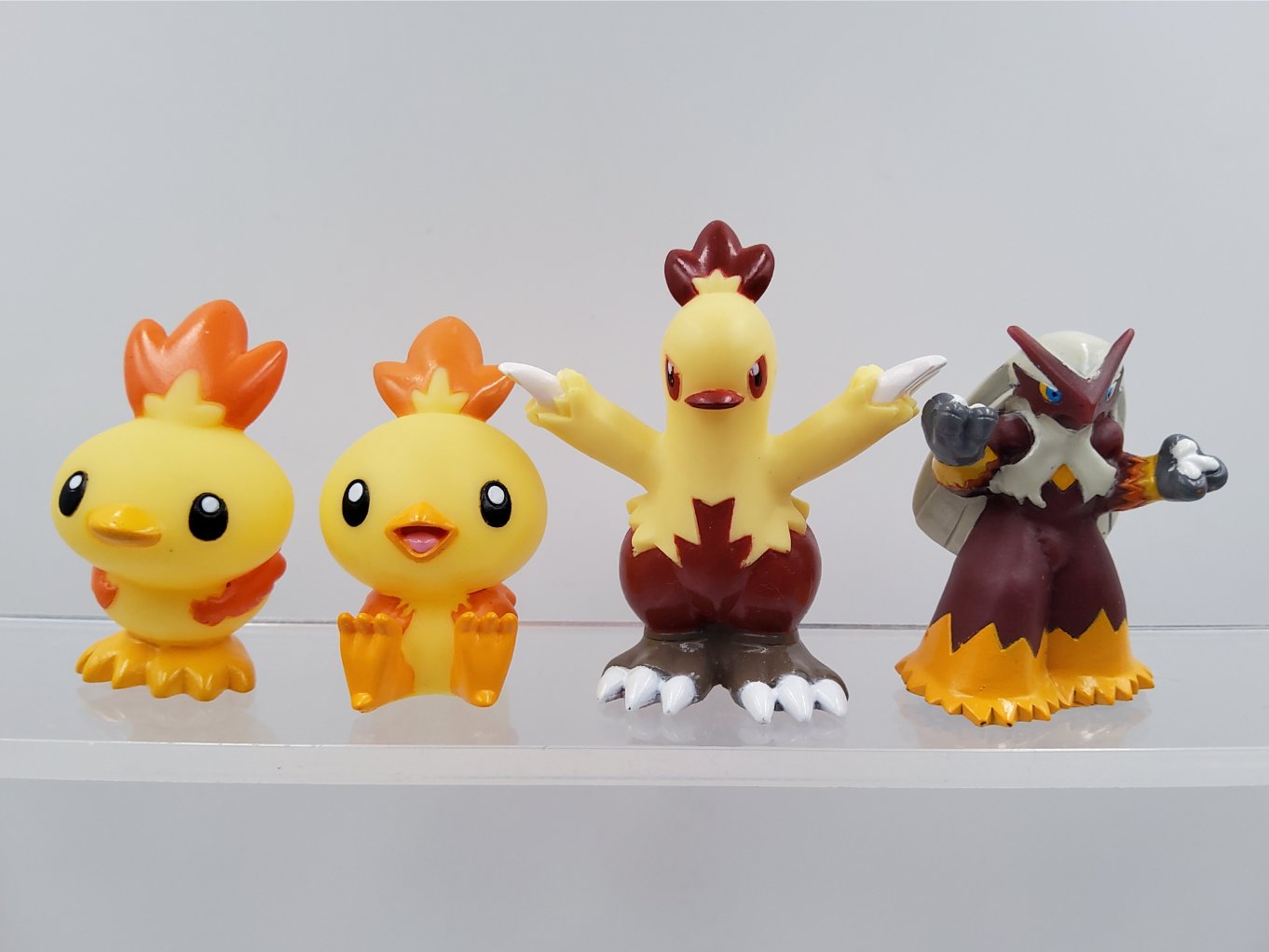 Pokemon Kids - Poussifeu & Galifeu & Brasegali Shiny B00001