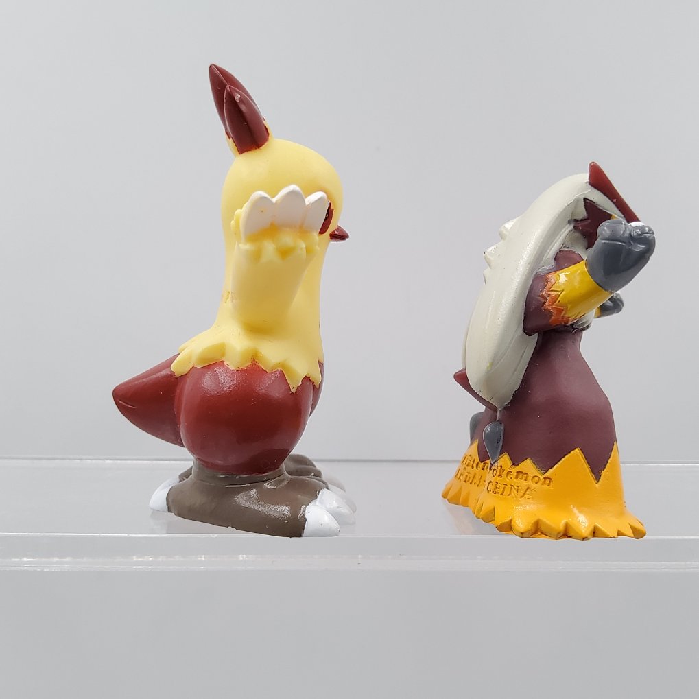 Pokemon Kids - Poussifeu & Galifeu & Brasegali Shiny B00007