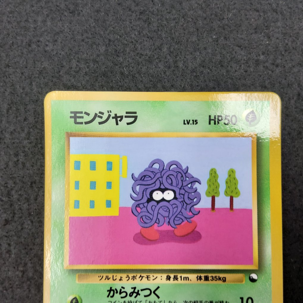 Saquedeneu : Tangela (EXS) NM 00002