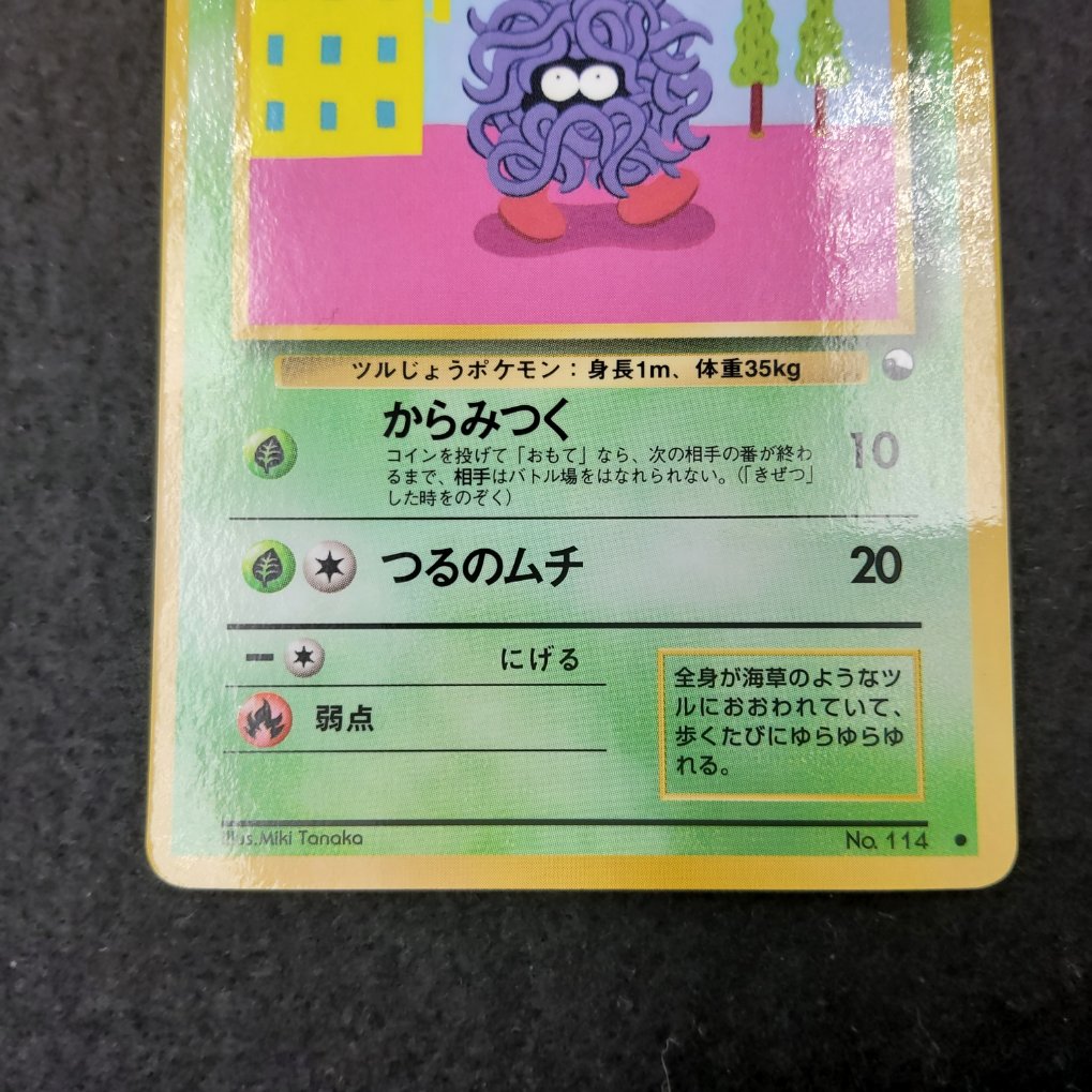 Saquedeneu : Tangela (EXS) NM 00003