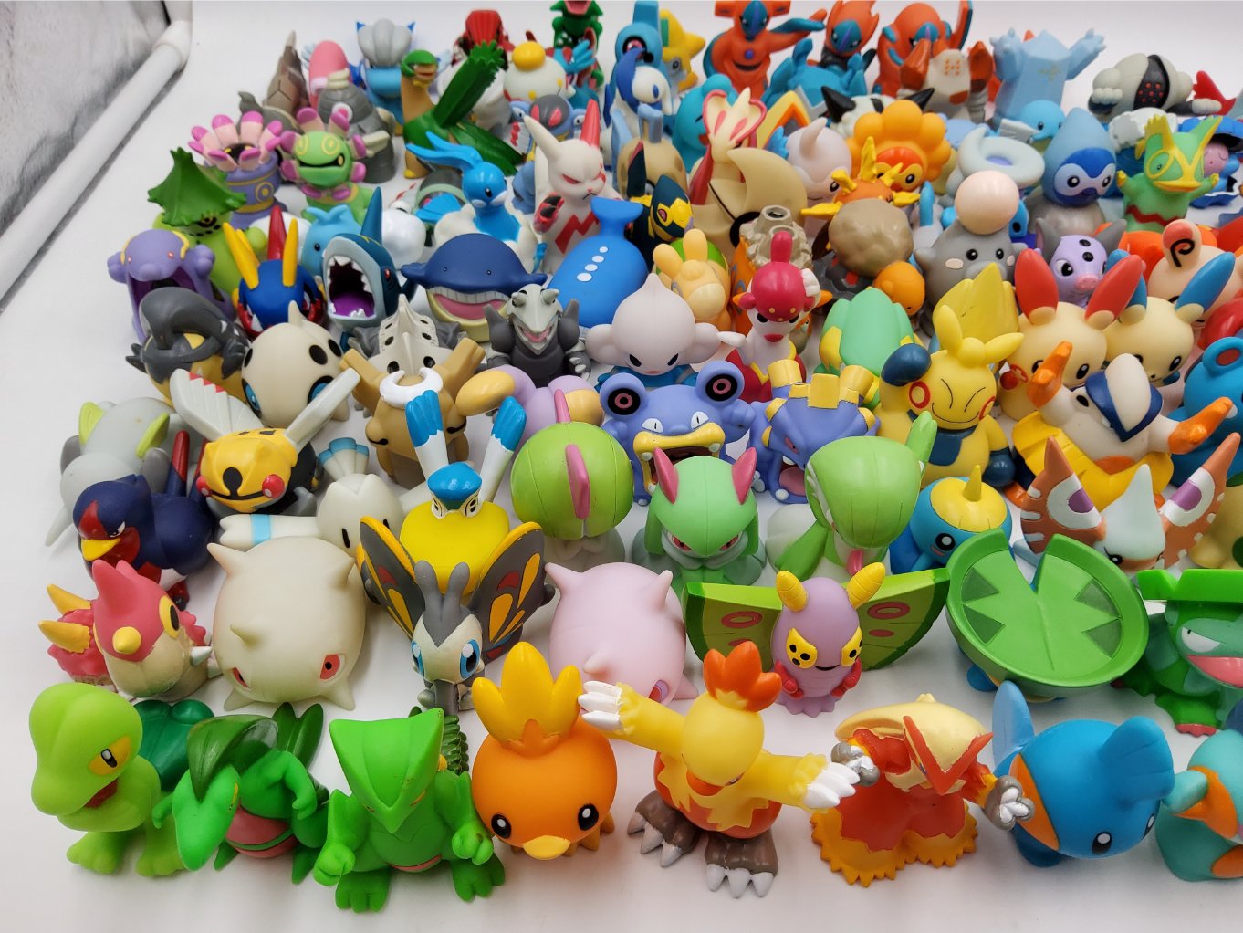 Pokemon Kids – Gen 3 Complete 00002