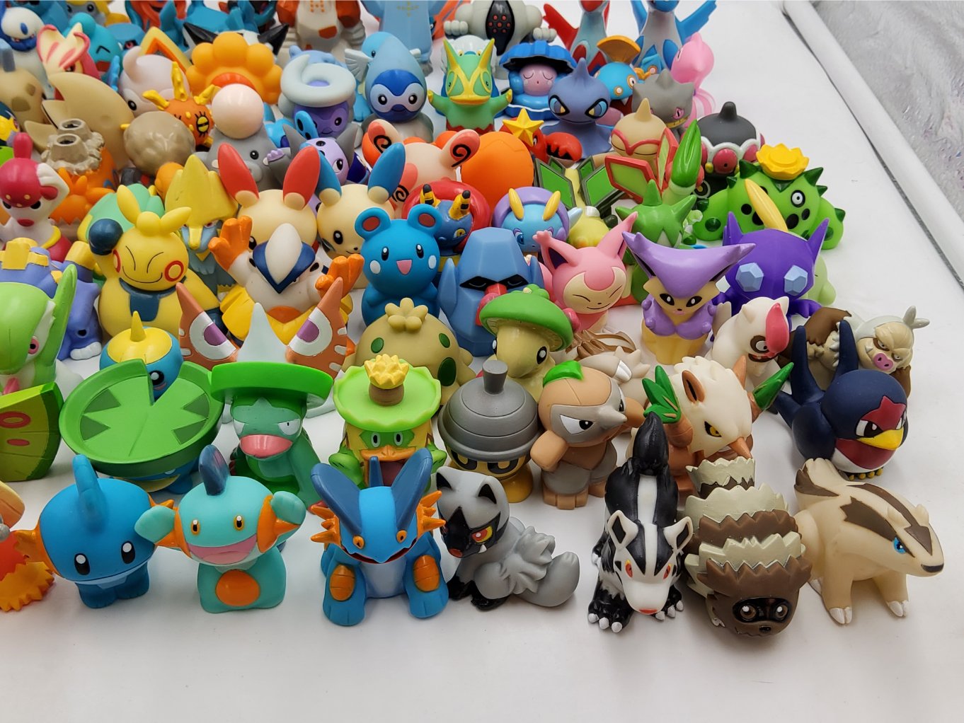 Pokemon Kids – Gen 3 Complete 00003