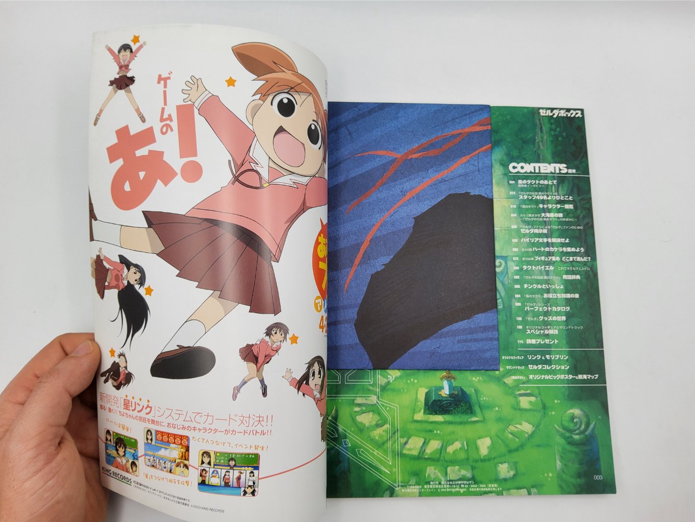 The Legend of Zelda Wind Waker Fan Box Complete B00005