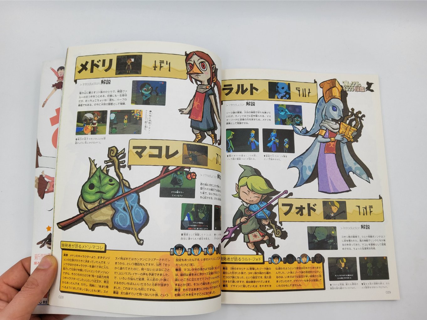 The Legend of Zelda Wind Waker Fan Box Complete B00008