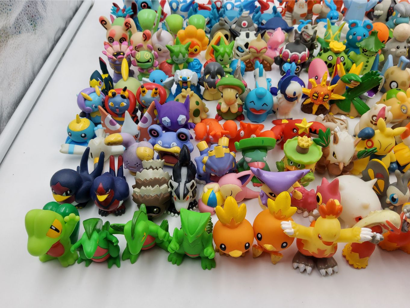 Pokemon Kids - Gen 3 00002