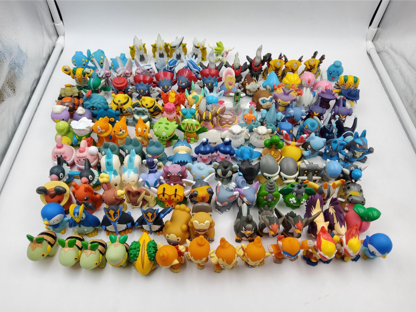 Pokemon Kids - Gen 400001