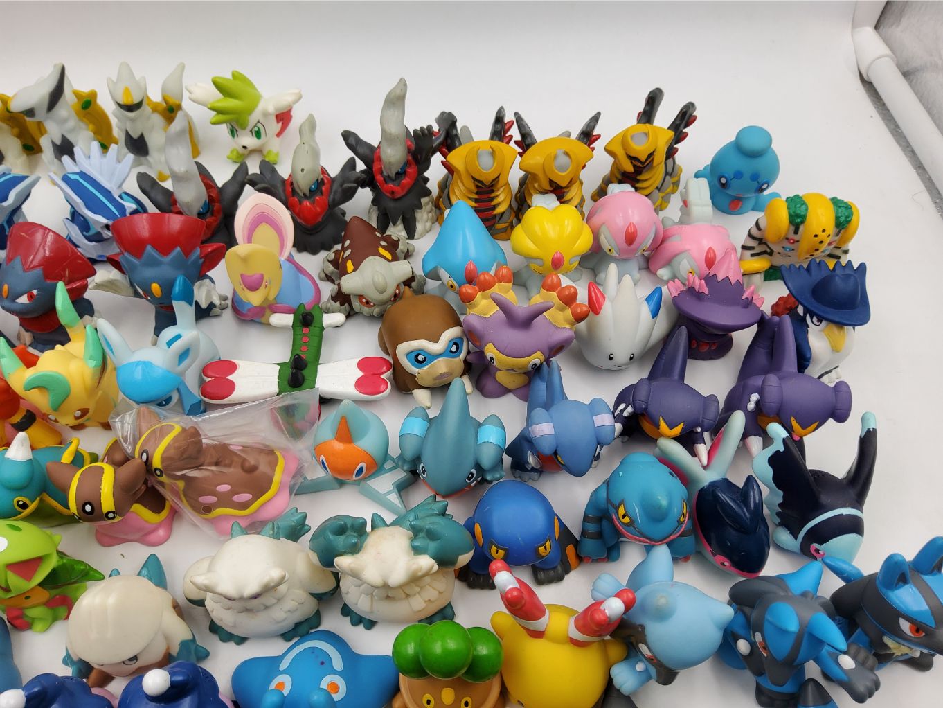 Pokemon Kids - Gen 400007