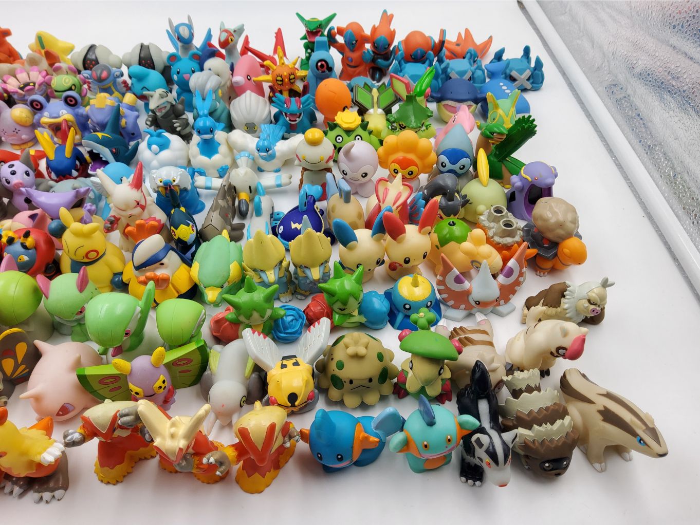 Pokemon Kids – Gen 3 00003