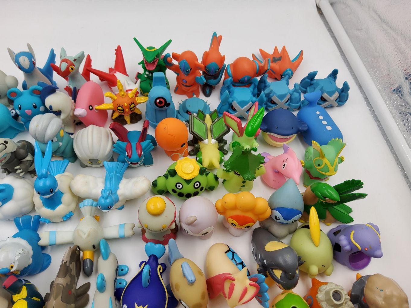 Pokemon Kids – Gen 3 00005