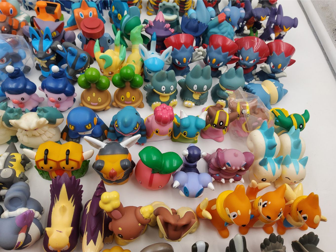 Pokemon Kids – Gen 4 00005